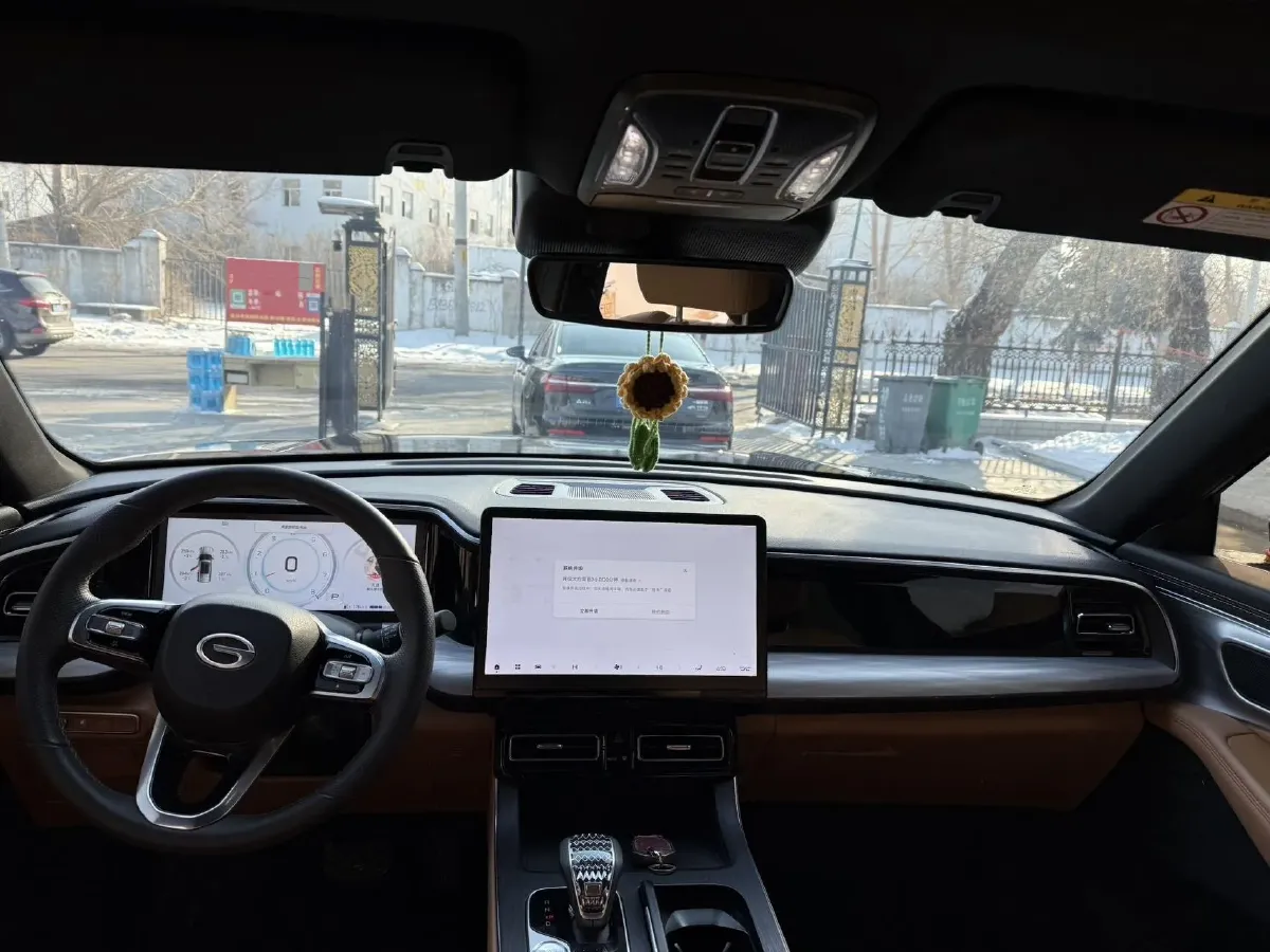 2024 GAC Trumpchi GS8 2.0T 252HP L4 8AT,autocango,china used car exporter,china ev exporter,chinese used car exporter,chinese used ev exporter