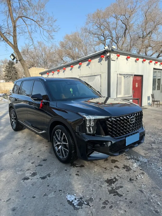 2024 GAC Trumpchi GS8 2.0T 252HP L4 8AT,autocango,china used car exporter,china ev exporter,chinese used car exporter,chinese used ev exporter