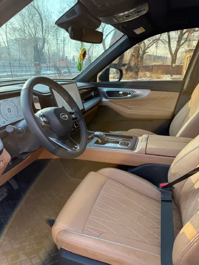 2024 GAC Trumpchi GS8 2.0T 252HP L4 8AT,autocango,china used car exporter,china ev exporter,chinese used car exporter,chinese used ev exporter