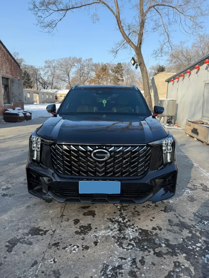 2024 GAC Trumpchi GS8 2.0T 252HP L4 8AT,autocango,china used car exporter,china ev exporter,chinese used car exporter,chinese used ev exporter