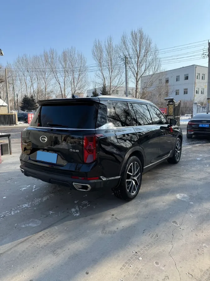 2024 GAC Trumpchi GS8 2.0T 252HP L4 8AT,autocango,china used car exporter,china ev exporter,chinese used car exporter,chinese used ev exporter