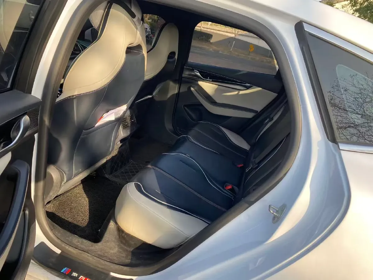 2021 DongFeng FuKang e Elysee BEV 30.7KWH,autocango,china used car exporter,china ev exporter,chinese used car exporter,chinese used ev exporter