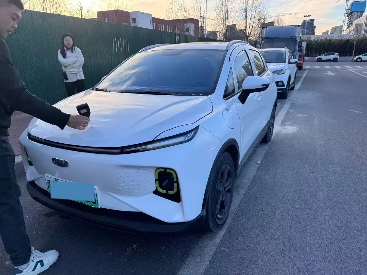 2022 Geometry E BEV 39.4KWH