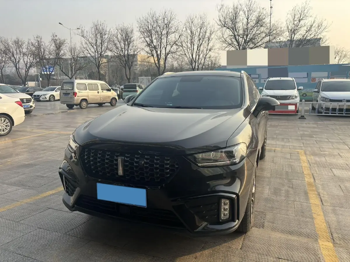 2021 WEY VV5 1.5T 171HP L4 7DCT