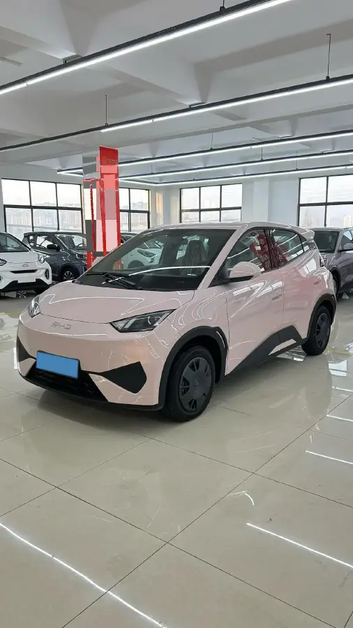 2025 BYD Seagull BEV 30.08KWH