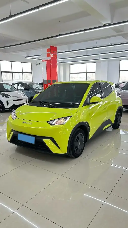 2024 BYD Seagull BEV 30.08KWH