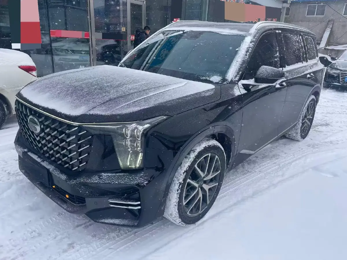 2022 GAC Trumpchi GS8 2.0T 252HP L4 8AT