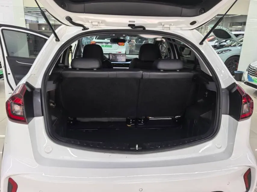 2021 WuLing Nano EV BEV 28KWH,autocango,china used car exporter,china ev exporter,chinese used car exporter,chinese used ev exporter