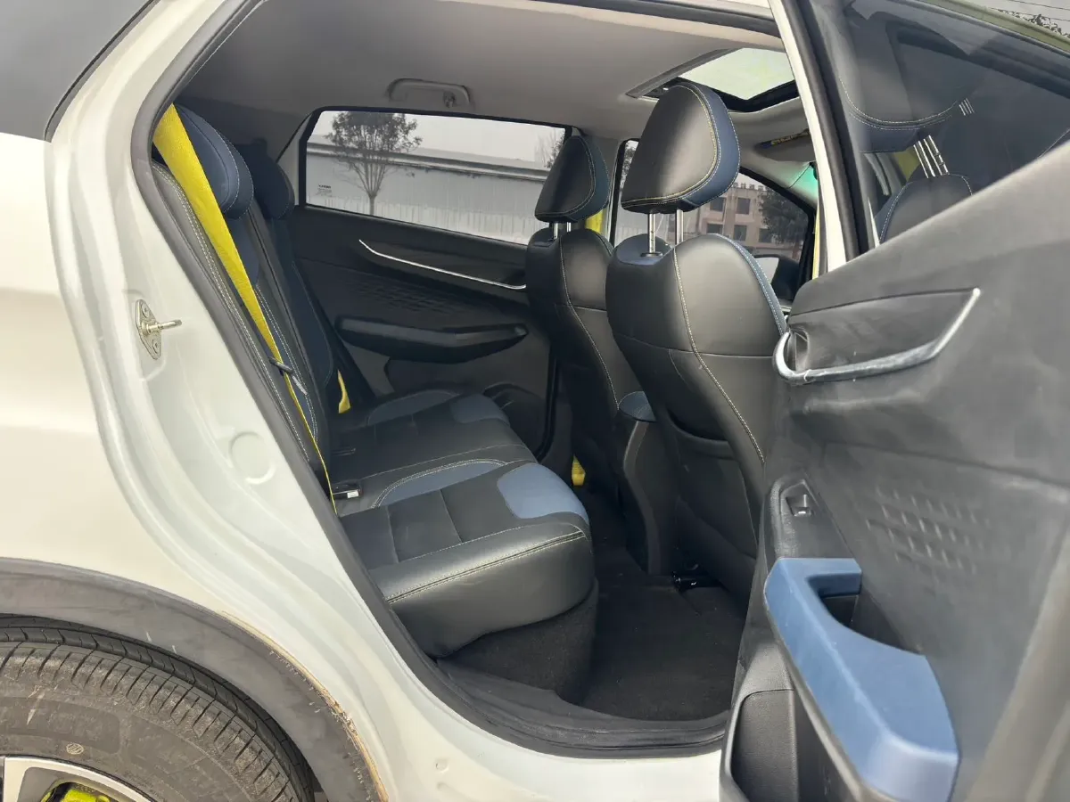 2021 Geometry EX3 BEV 37.23KWH,autocango,china used car exporter,china ev exporter,chinese used car exporter,chinese used ev exporter