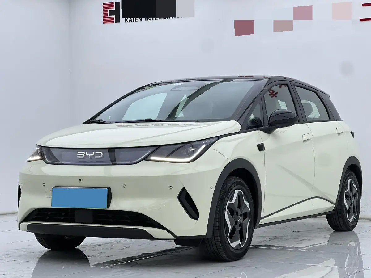 2025 BYD Dolphin BEV 45.12KWH