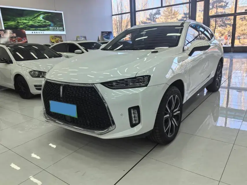 2018 WEY P8 2.0T 234HP L4 6DCT PHEV 12.96KWH