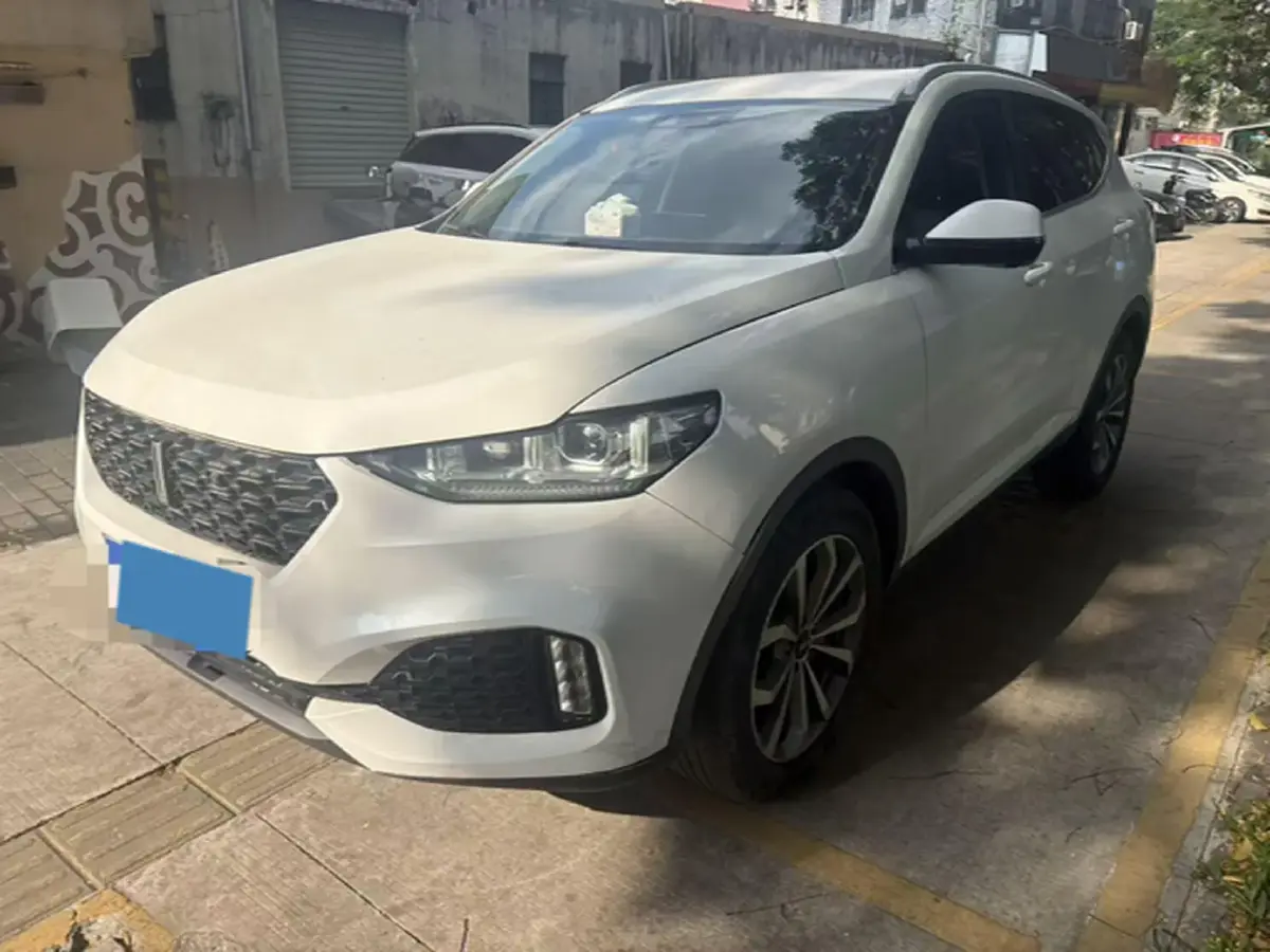 2018 WEY VV6 2.0T 197HP L4 7DCT