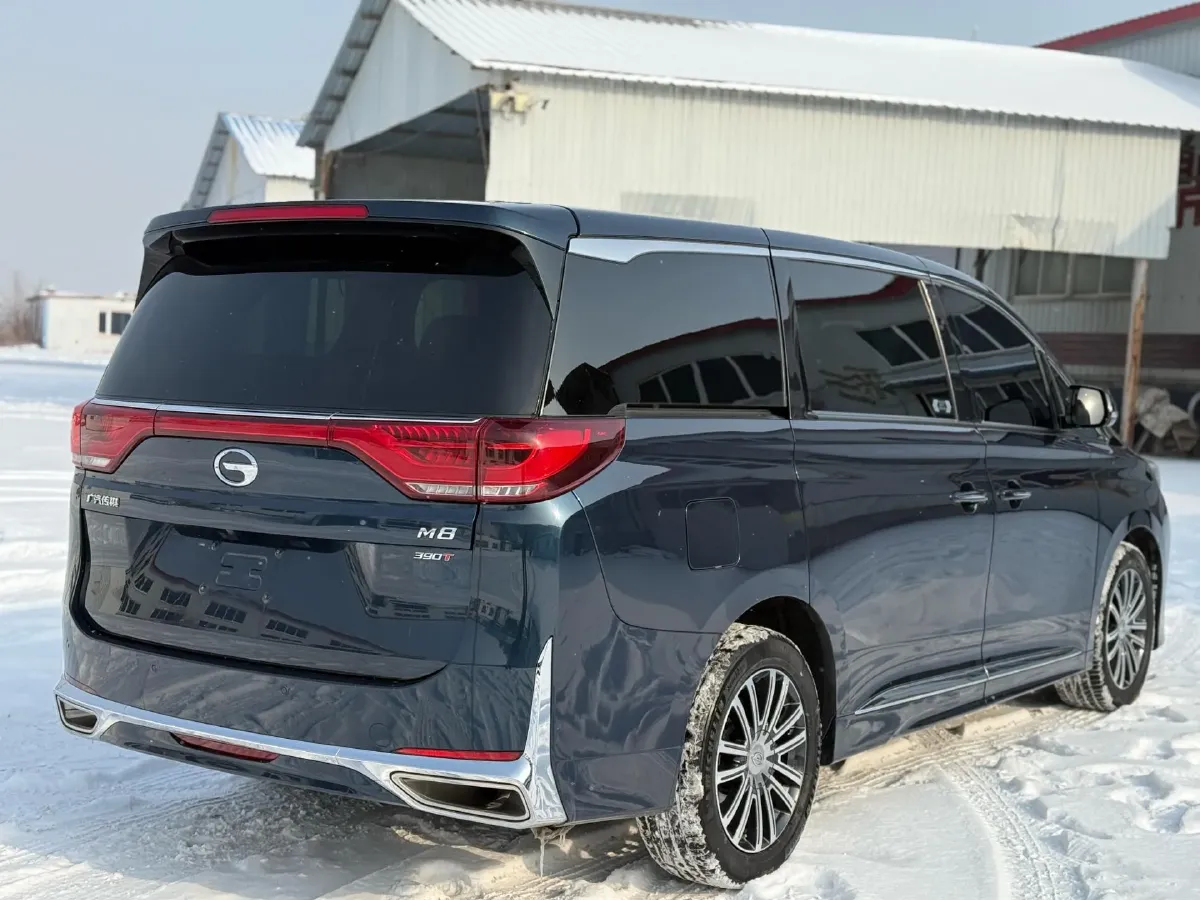 2021 GAC Trumpchi M8 2.0T 252HP L4 8AT,autocango,china used car exporter,china ev exporter,chinese used car exporter,chinese used ev exporter