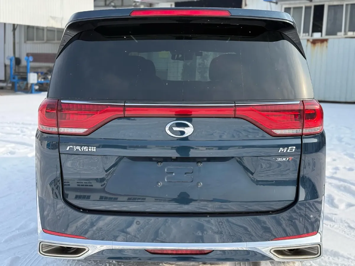 2021 GAC Trumpchi M8 2.0T 252HP L4 8AT,autocango,china used car exporter,china ev exporter,chinese used car exporter,chinese used ev exporter