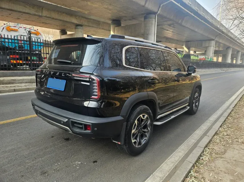 2021 Haval Dargo 2.0T 211HP L4 7DCT,autocango,china used car exporter,china ev exporter,chinese used car exporter,chinese used ev exporter