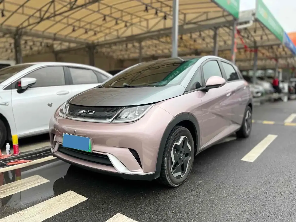 2021 BYD Yuan Pro BEV 50.1KWH