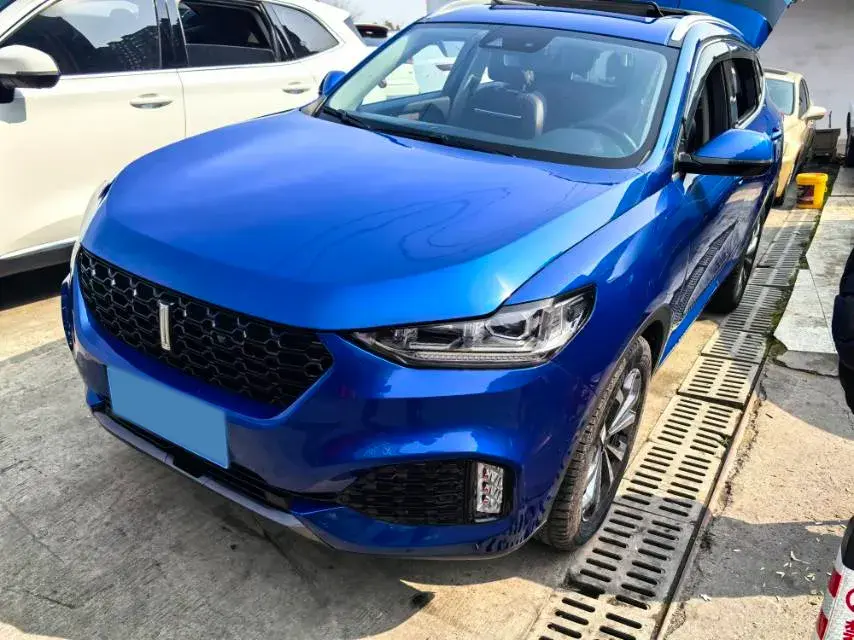 2019 WEY VV6 2.0T 224HP L4 7DCT