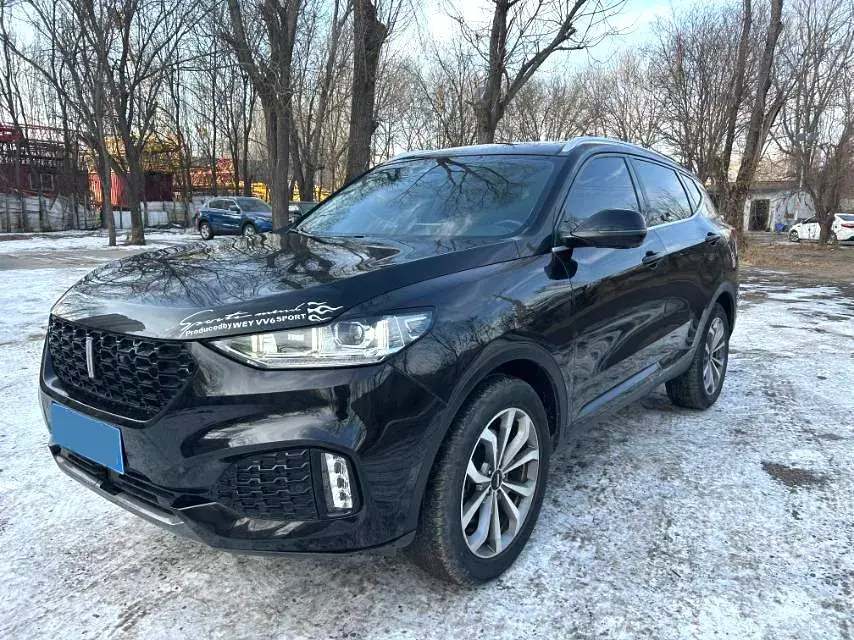 2018 WEY VV6 2.0T 197HP L4 7DCT