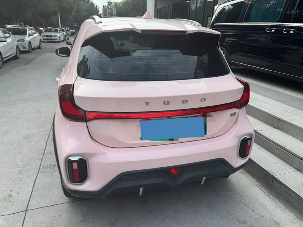 2023 Yudo Rabbit BEV 41.7KWH,autocango,china used car exporter,china ev exporter,chinese used car exporter,chinese used ev exporter