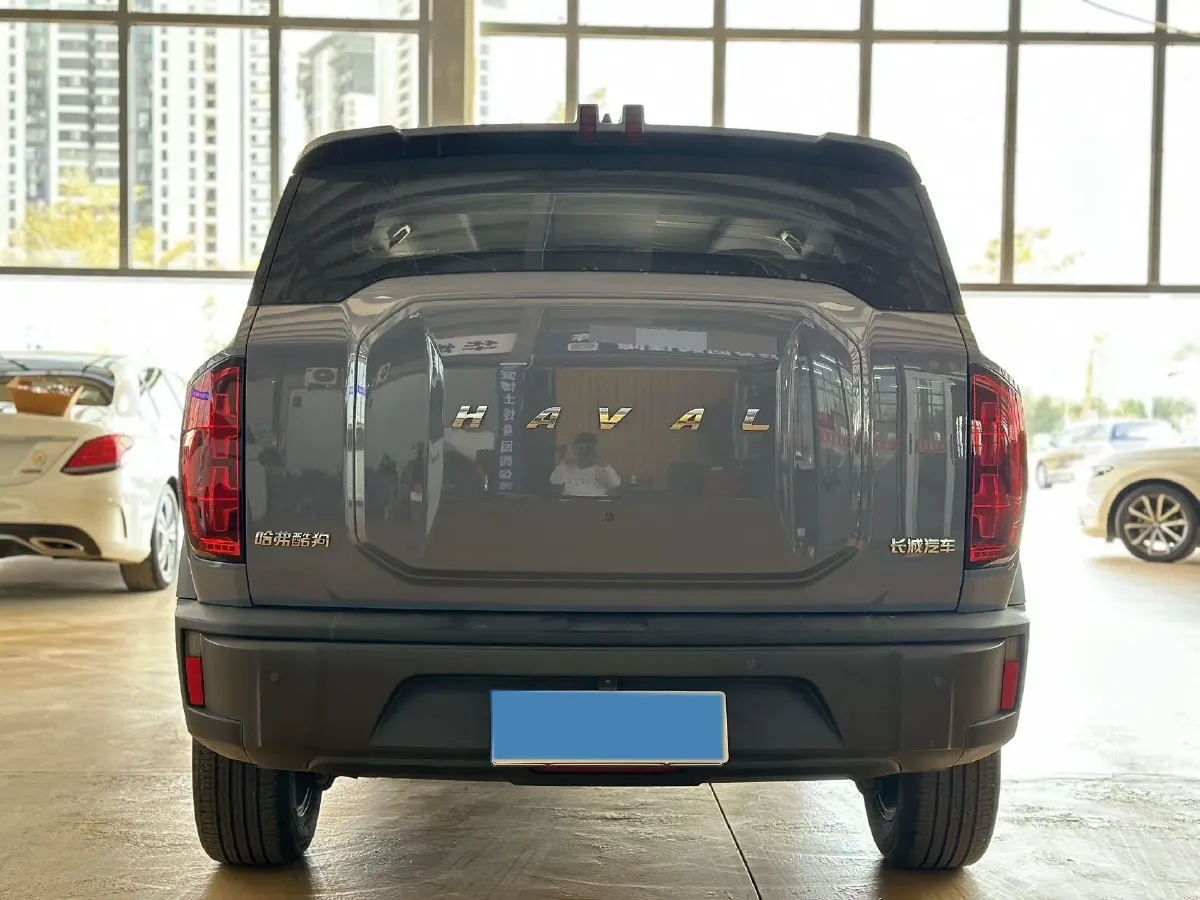 2022 Haval X Dog 1.5T 184HP L4 7DCT,autocango,china used car exporter,china ev exporter,chinese used car exporter,chinese used ev exporter