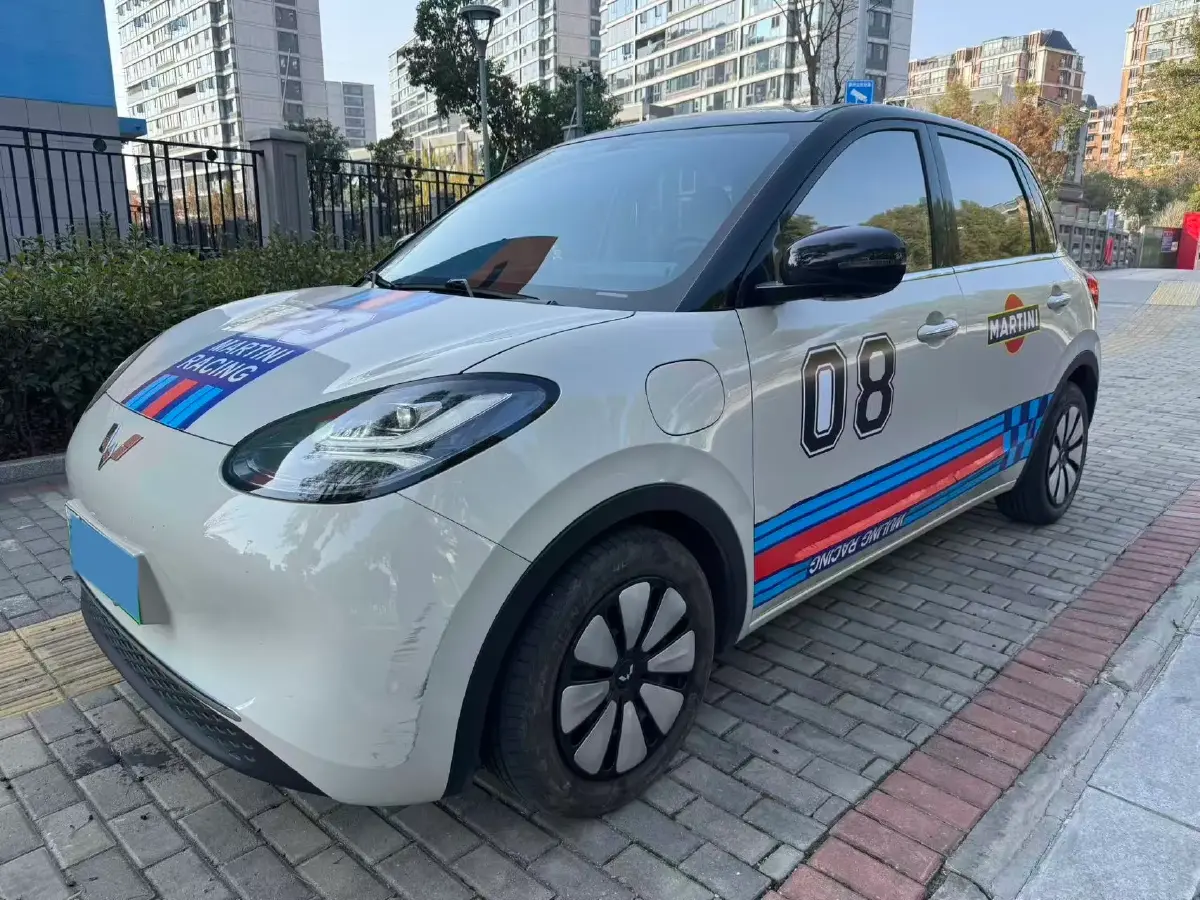 2024 WuLing BinGuo BEV 31.9KWH