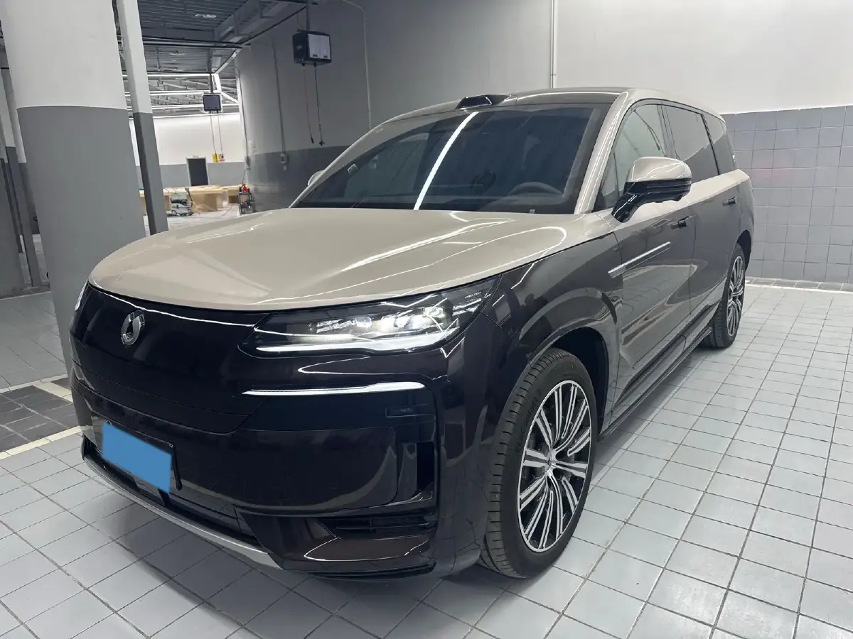 2025 Denza DenzaN9 2.0T 207HP L4 E-CVT PHEV
