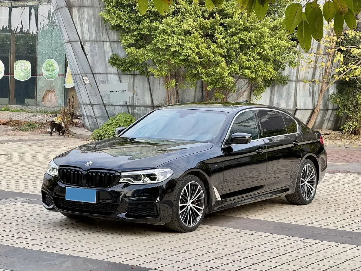 2020 BMW 5 Series 2.0T 252HP L4 8AT