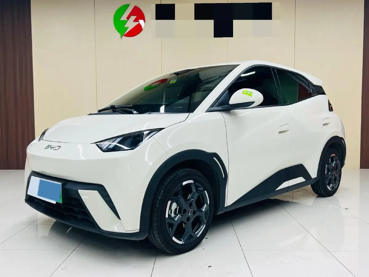 2025 BYD Seagull BEV 30.08KWH
