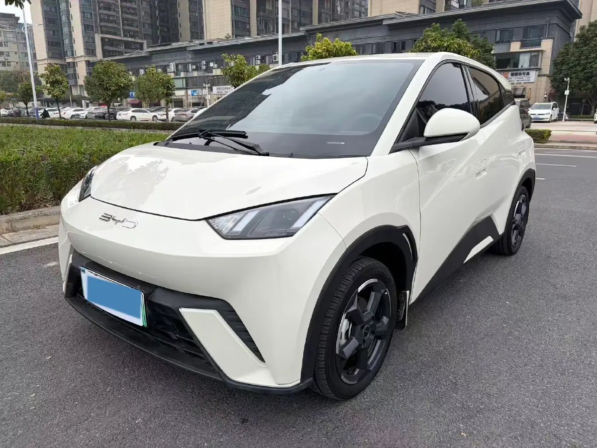 2023 BYD Yuan Pro BEV 38KWH