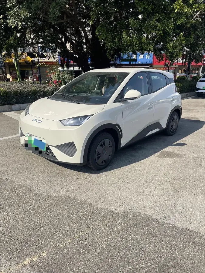 2025 BYD Seagull BEV 30.08KWH