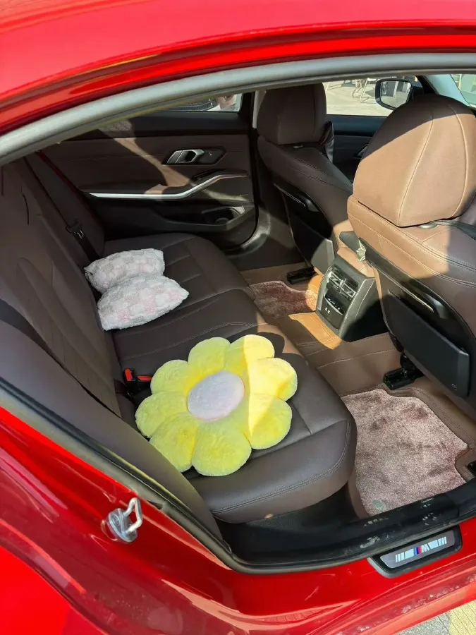 2021 BMW 3 Series 2.0T 184HP L4 8AT,autocango,china used car exporter,china ev exporter,chinese used car exporter,chinese used ev exporter