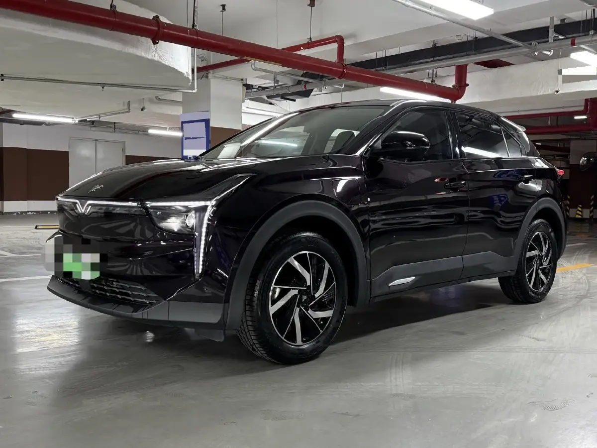 2020 Neta U BEV 54KWH