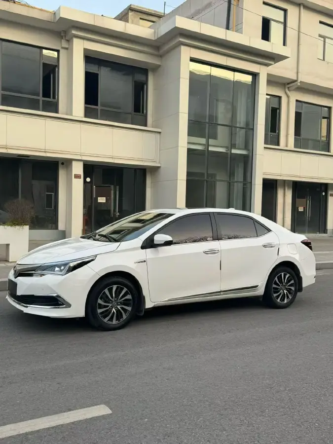 2017 Ford Focus 1.5T 181HP L4 6AT