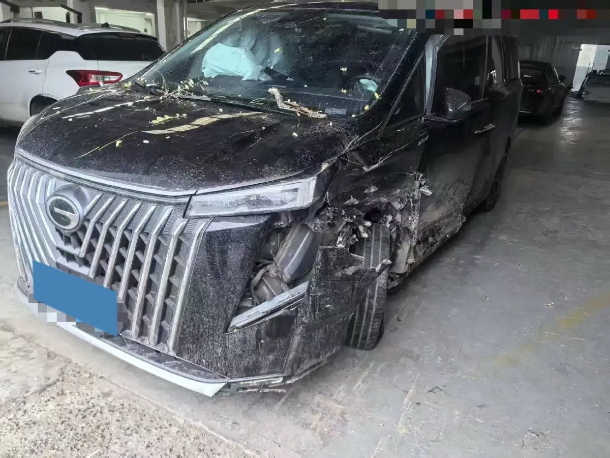 2023 GAC Trumpchi M8 2.0T 252HP L4 8AT