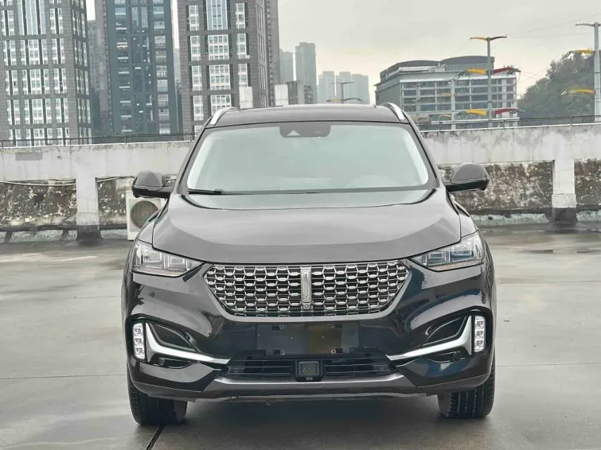 2021 WEY VV6 2.0T 227HP L4 7DCT,autocango,china used car exporter,china ev exporter,chinese used car exporter,chinese used ev exporter