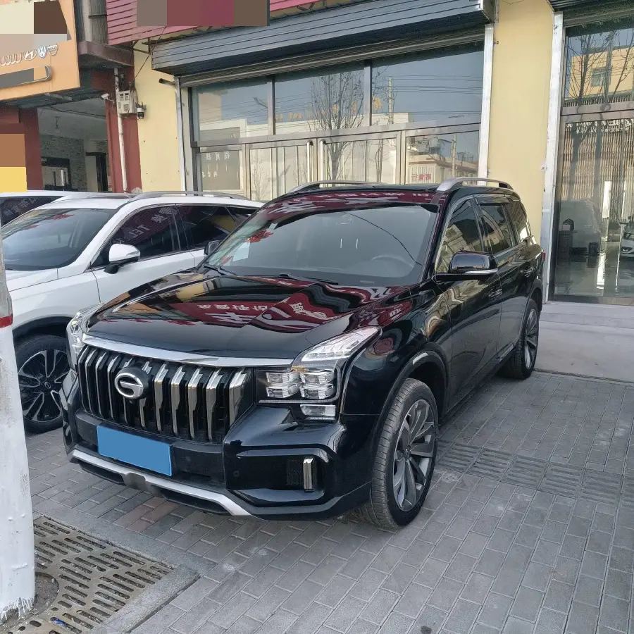 2021 GAC Trumpchi GS8 2.0T 252HP L4 6AT