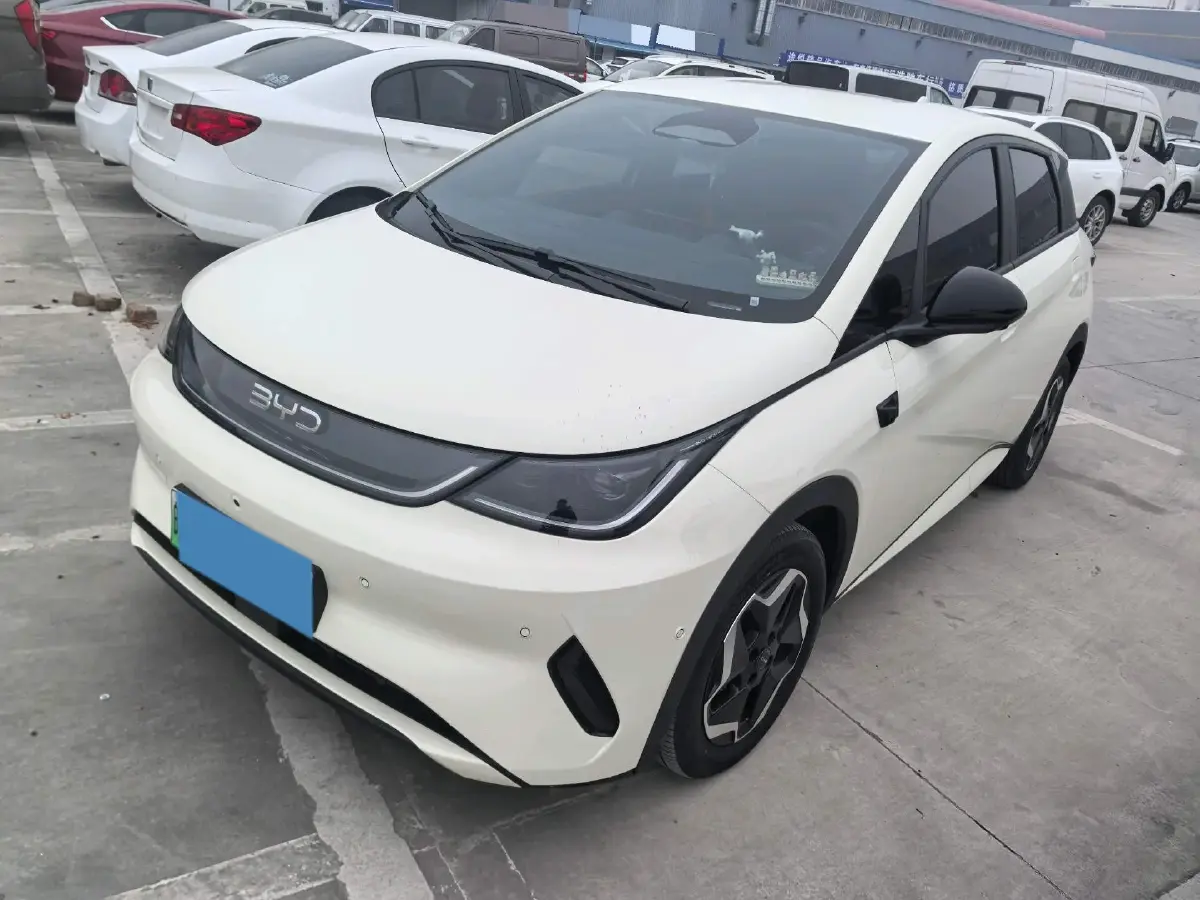 2025 BYD Dolphin BEV 45.12KWH