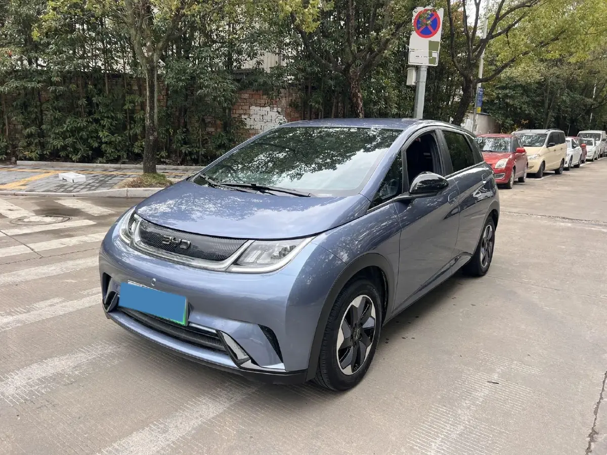 2024 BYD Dolphin BEV 44.928KWH