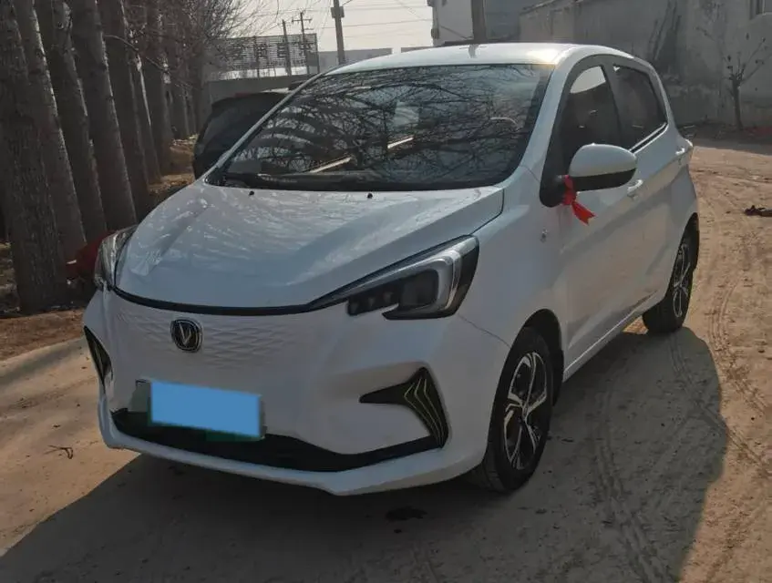 2020 ChangAn BenBen E-Star BEV 32.2KWH