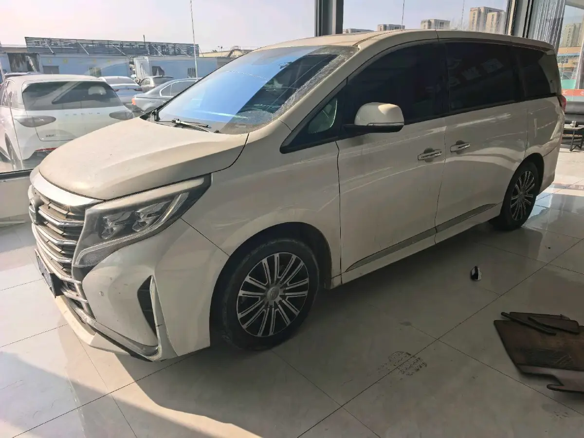 2021 GAC Trumpchi M8 2.0T 252HP L4 8AT