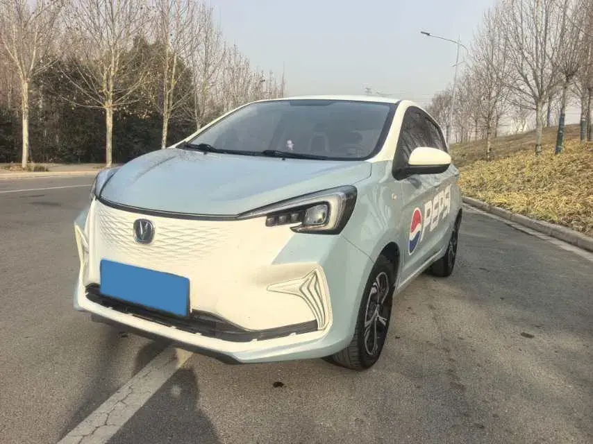 2020 ChangAn BenBen E-Star BEV 32.2KWH