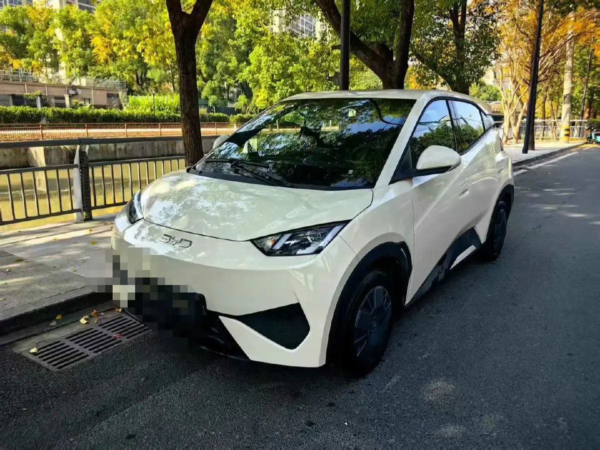 2023 BYD Yuan Pro BEV 38KWH