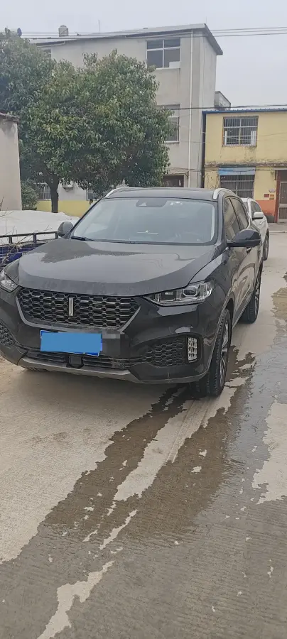 2018 WEY VV6 2.0T 197HP L4 7DCT