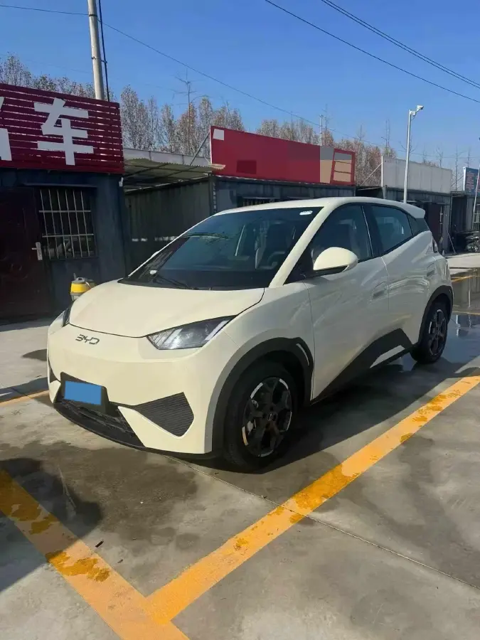 2025 BYD Seagull BEV