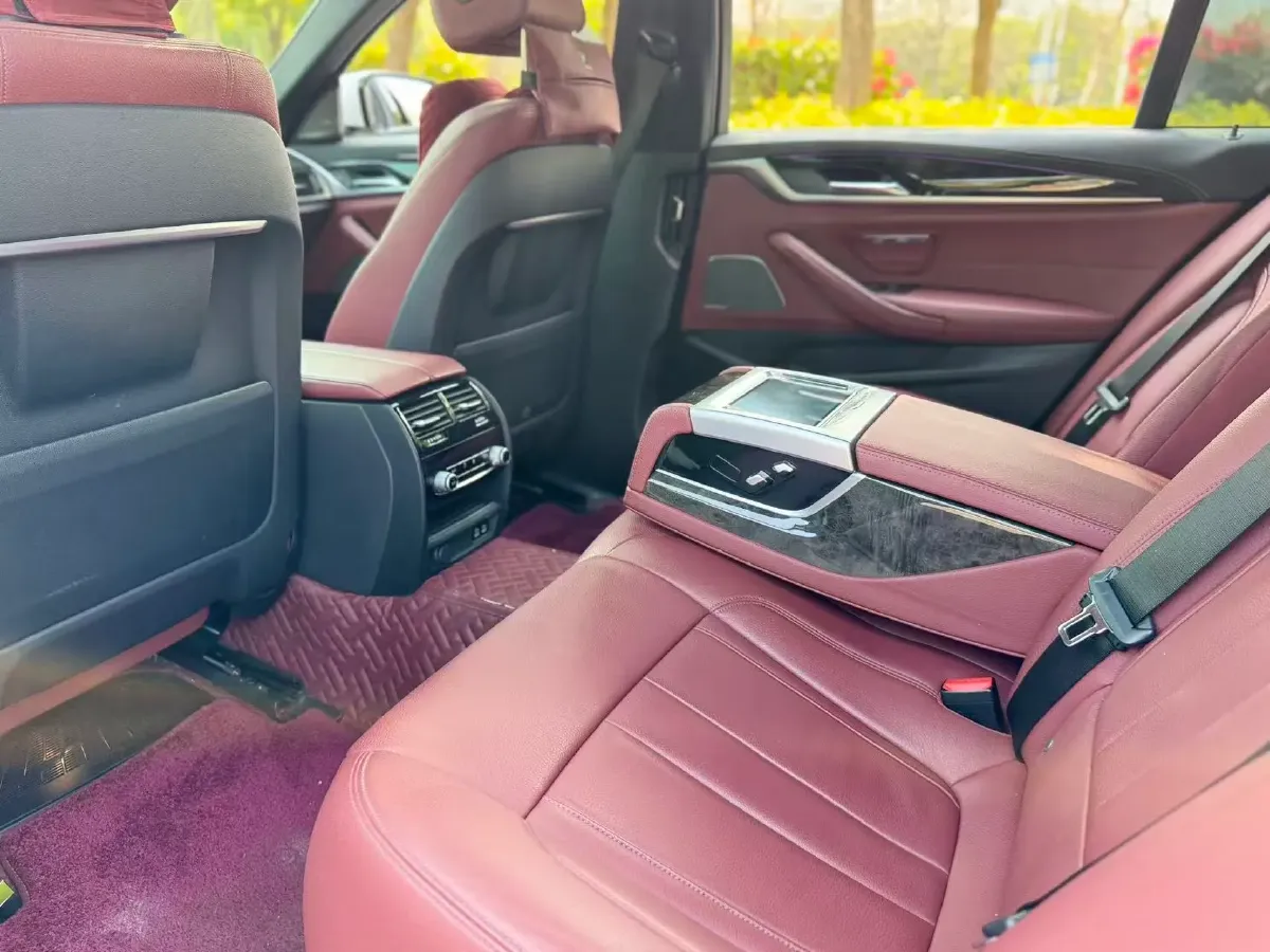 2020 BMW 5 Series 2.0T 252HP L4 8AT,autocango,china used car exporter,china ev exporter,chinese used car exporter,chinese used ev exporter