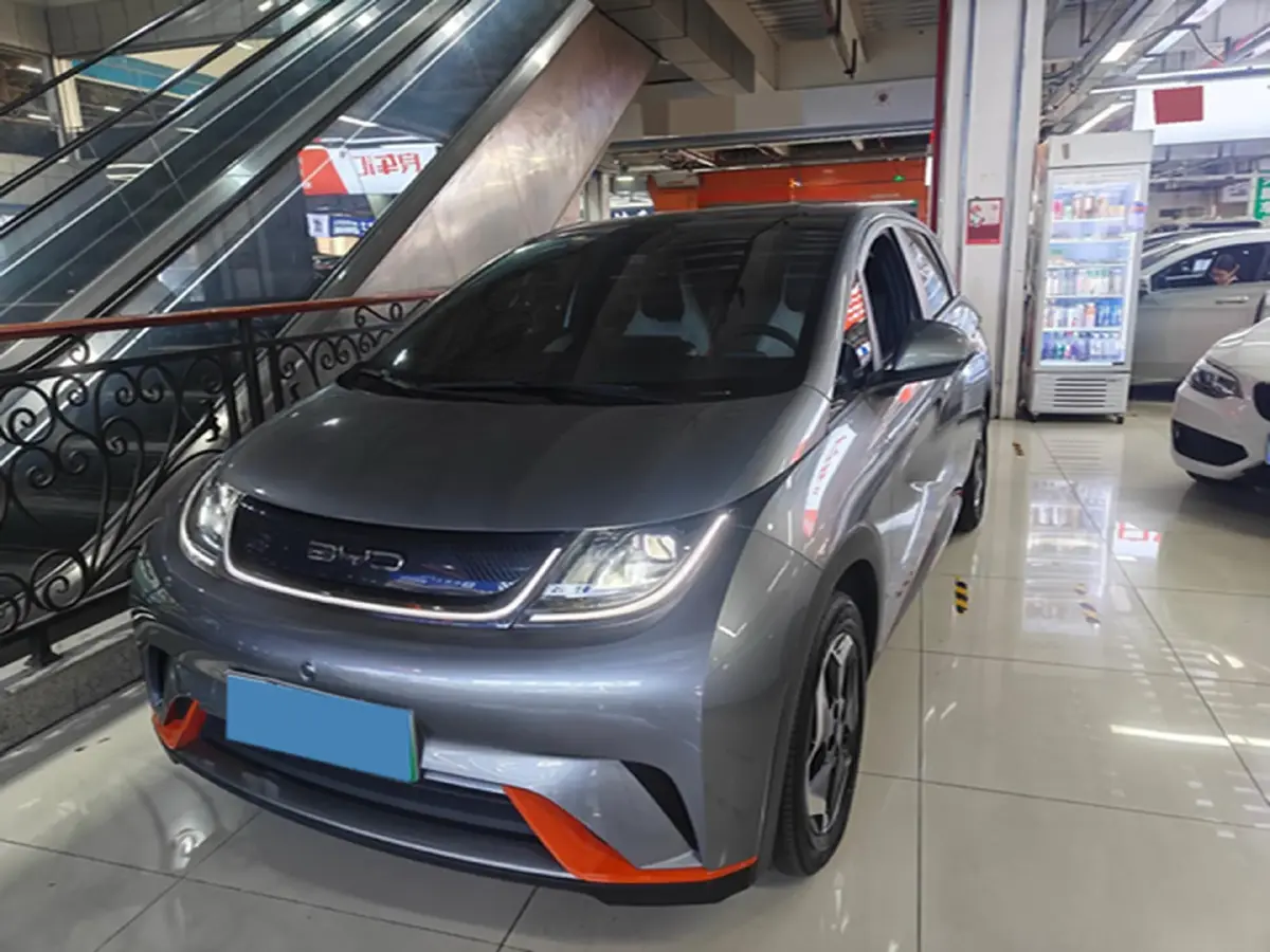 2021 BYD Yuan Pro BEV 50.1KWH
