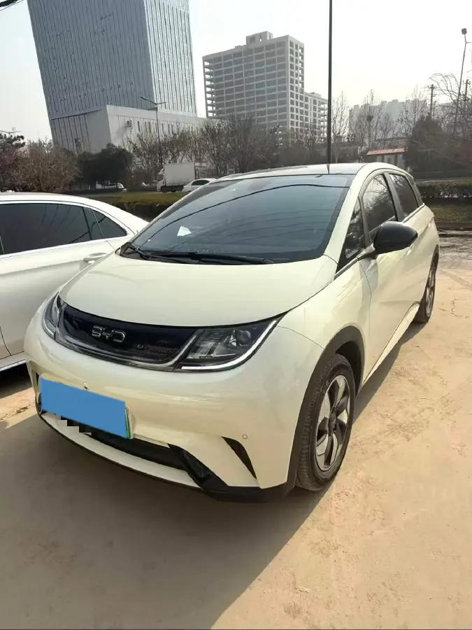 2025 BYD Dolphin BEV 44.928KWH