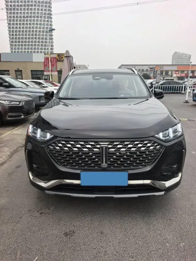 2022 WEY Latte DHT 1.5T 156HP L4 2DHT Hybrid,autocango,china used car exporter,china ev exporter,chinese used car exporter,chinese used ev exporter