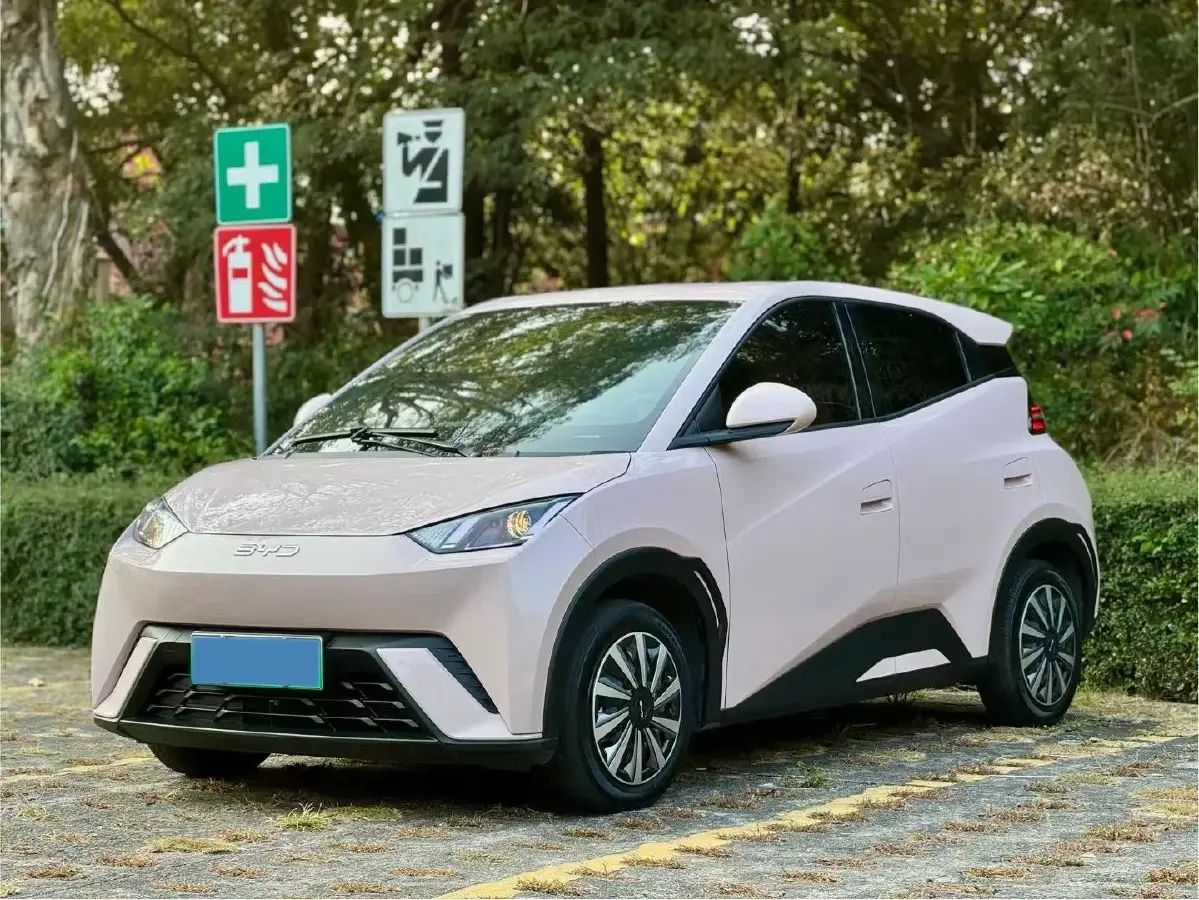 2024 BYD Seagull BEV 30.08KWH