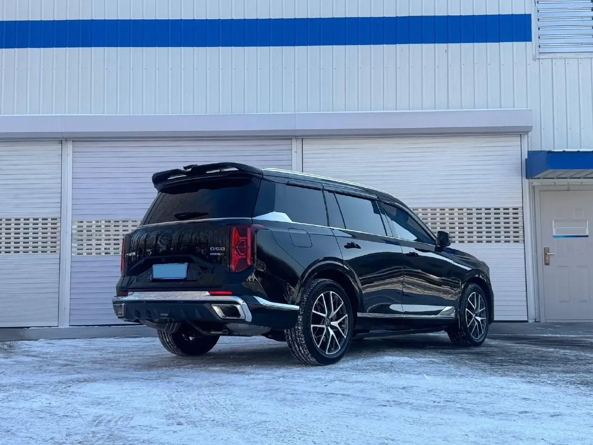 2024 GAC Trumpchi GS8 2.0T 190HP L4 E-CVT Hybrid,autocango,china used car exporter,china ev exporter,chinese used car exporter,chinese used ev exporter